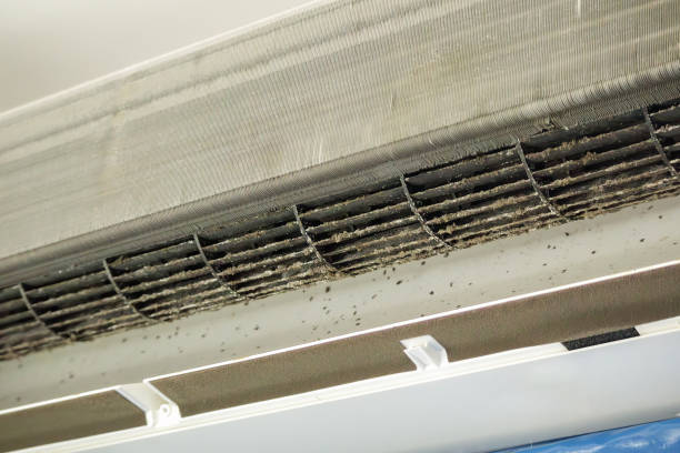 Best Air Vent Cleaning Services  in Kensington, MD